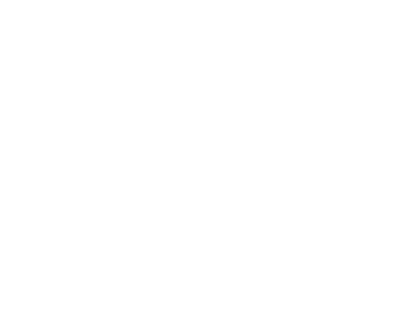 レーキスケルトンバケット