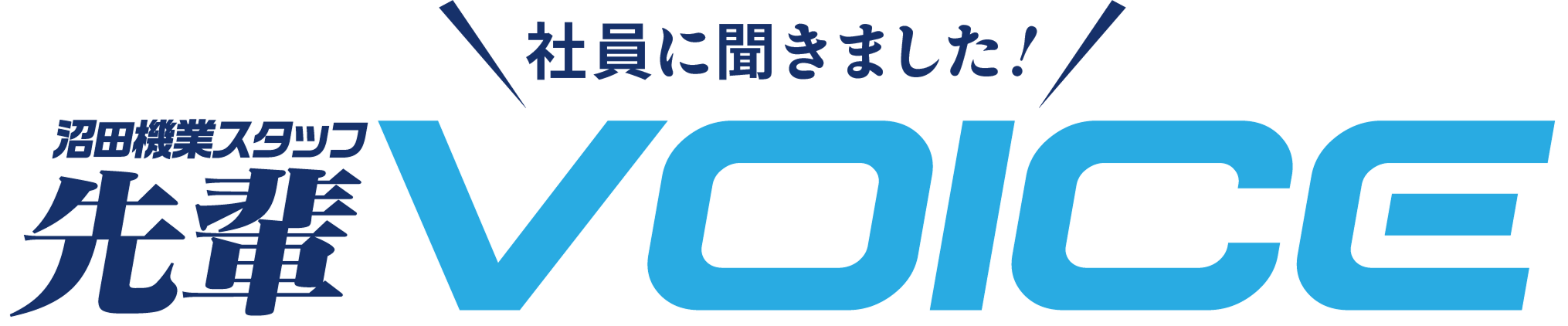先輩社員に聞きました